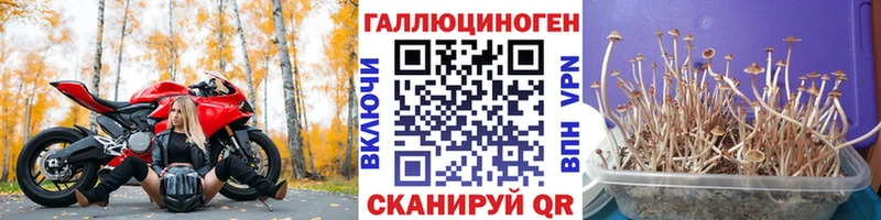 Галлюциногенные грибы мухоморы  купить  сайты  Судогда 